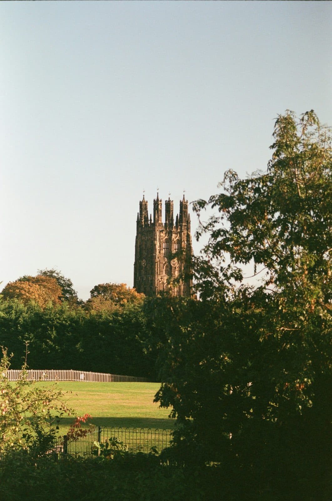 St Giles' Church tower in Wrexham seen through summer trees